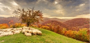 A promessa de um novo céu e uma nova terra em Jerusalém