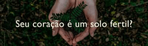 O Semeador e os Tipos de Coração: Entendendo como escutar a Palavra de Deus.