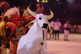 Parintins no coração do Brasil: orgulho, cultura e resistência