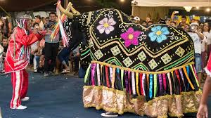 Mulheres na cultura do Boi-Bumbá: destaque e representatividade