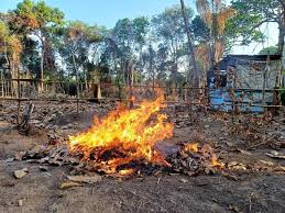 Parintins e o combate às queimadas ilegais