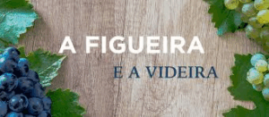 A figueira brotou: o que isso significa para os cristãos?