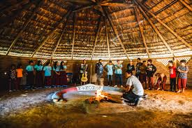 A Importância da Terra para a Medicina Indígena