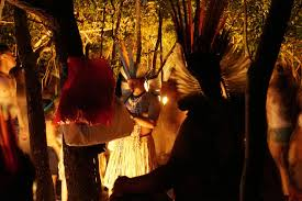 Crianças e Ancestralidade: Remédios Indígenas Naturais Para a Primeira Infância