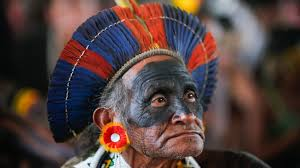 Descolonizando a Saúde: Por que Incluir a Medicina Indígena no SUS?