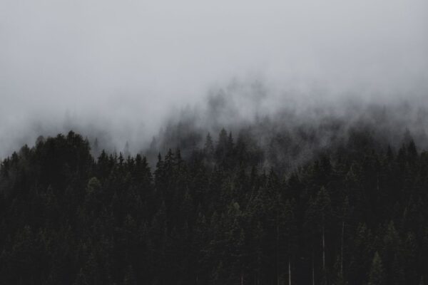 Força nos Momentos Mais Difíceis