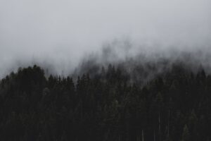 Propósito Divino: Por Que Você Está Aqui?